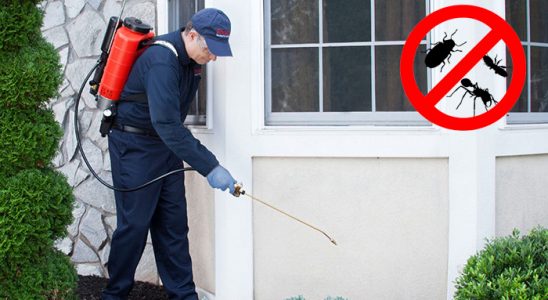 Boğazkale Uçan Haşere İlaçlama böcek ilaçlama ve haşere kontrolü — ilaclama-tr.com
